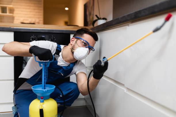  Hugo, OK Pest Control Pros