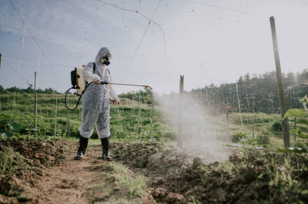 Best Ant Control Services  in Hugo, OK