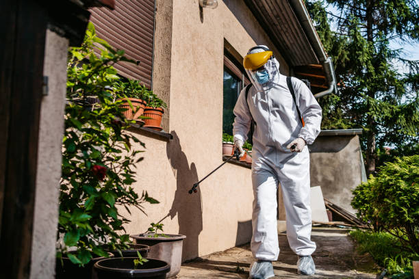 Best Best Pest Control Companies  in Hugo, OK