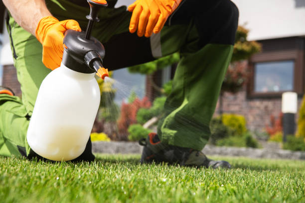 Best Pest Inspection Near Me  in Hugo, OK