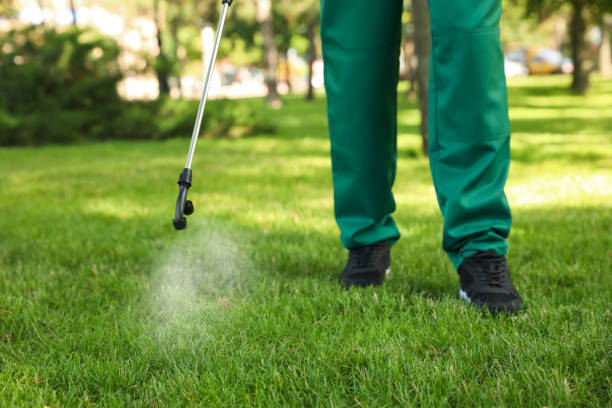 Best Mosquito Control Services  in Hugo, OK