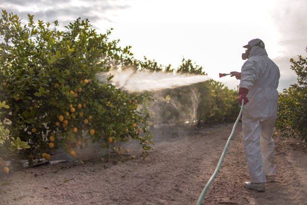 Best Affordable Pest Control Services  in Hugo, OK
