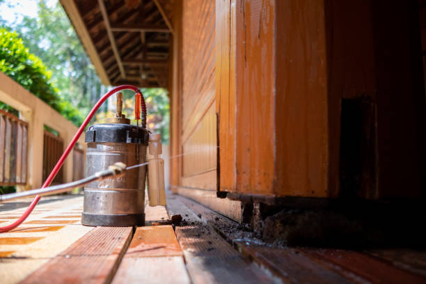Best Ant Control Services  in Hugo, OK